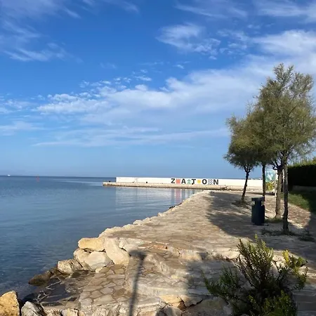 Zaton-nin Holidays - Olive Zaton (Zadar)