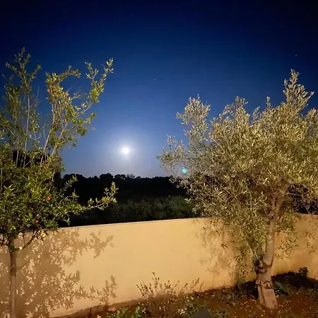 Zaton-nin Holidays - Olive Ferienhaus Zaton (Zadar)