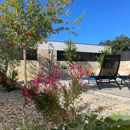 Zaton-nin Holidays - Olive Ferienhaus