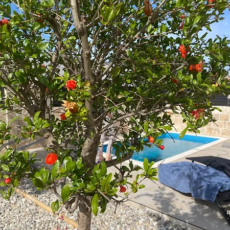 Zaton-nin Holidays - Olive *